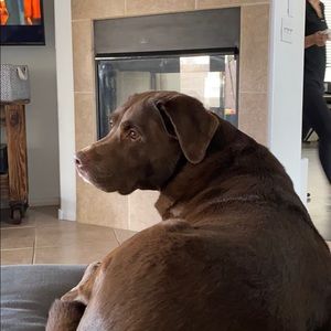 Meet your Posher, Mary